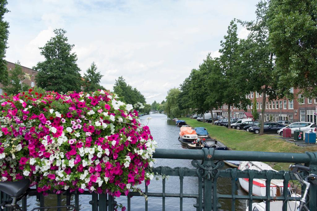 Vondelparkmuseum Inn Amsterdam Bilik gambar